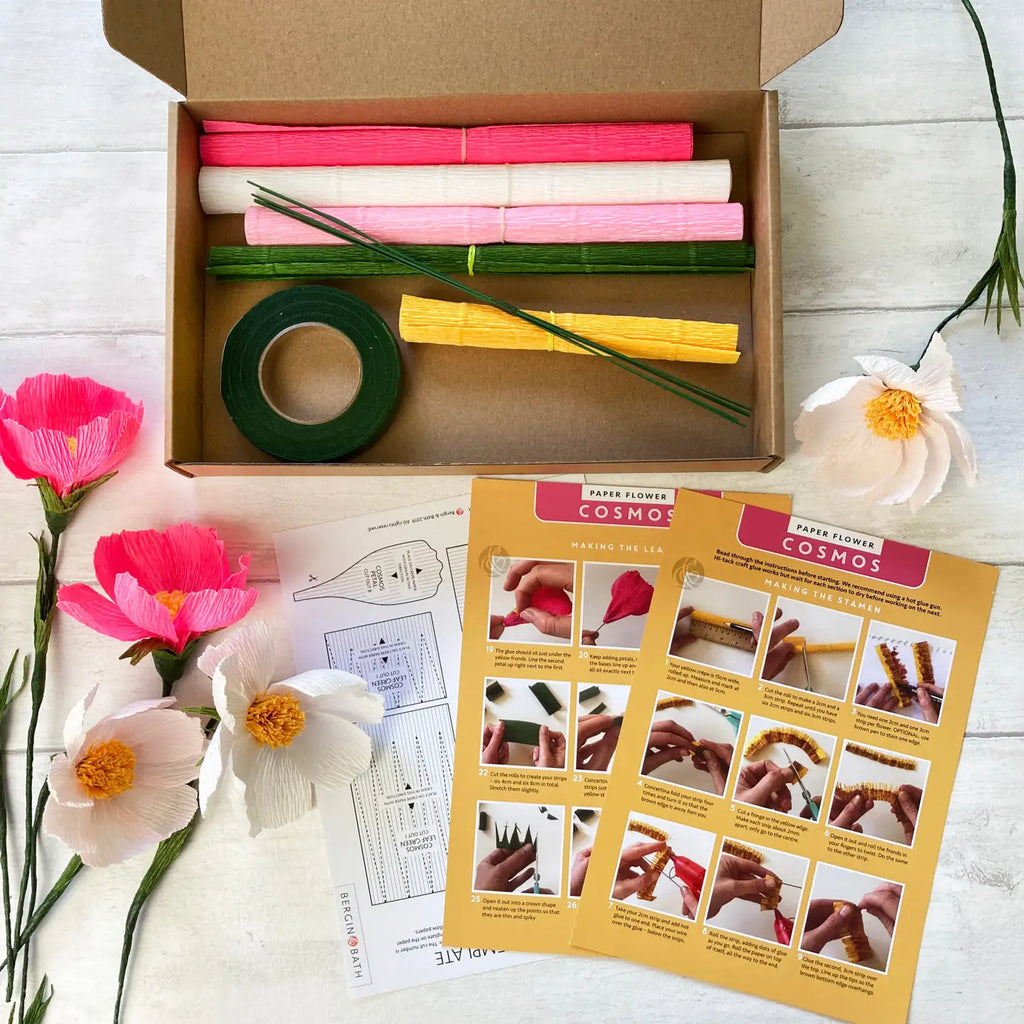 Paper flower making kit - Cosmos