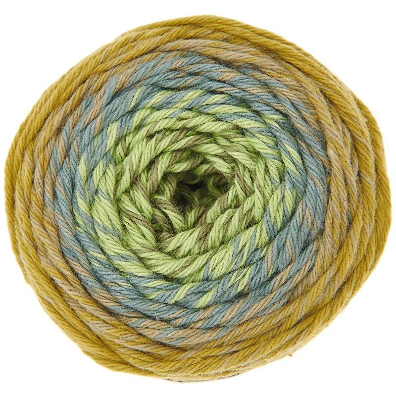 Ricorumi spin spin