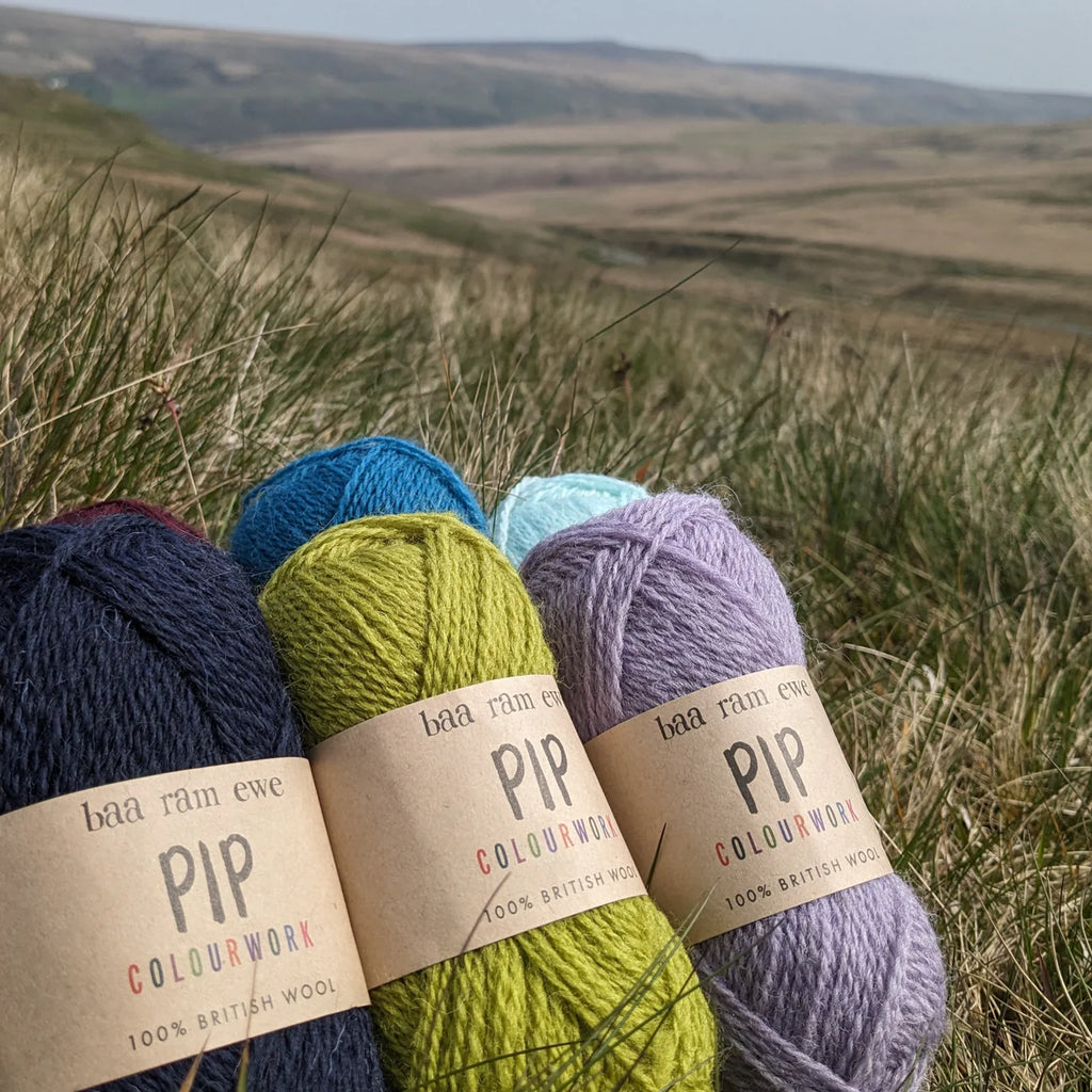 Pip colourwork
