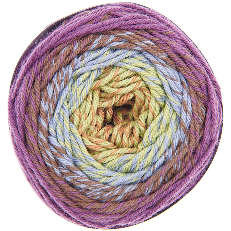 Ricorumi spin spin
