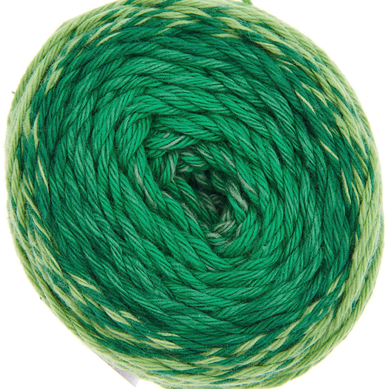 Ricorumi spin spin